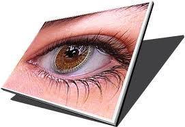 Chunghwa Screen Replacement