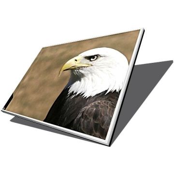 Dell Vostro 15 3558 Replacement Laptop LCD Screen Panel